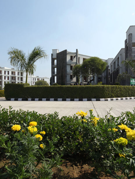 campus